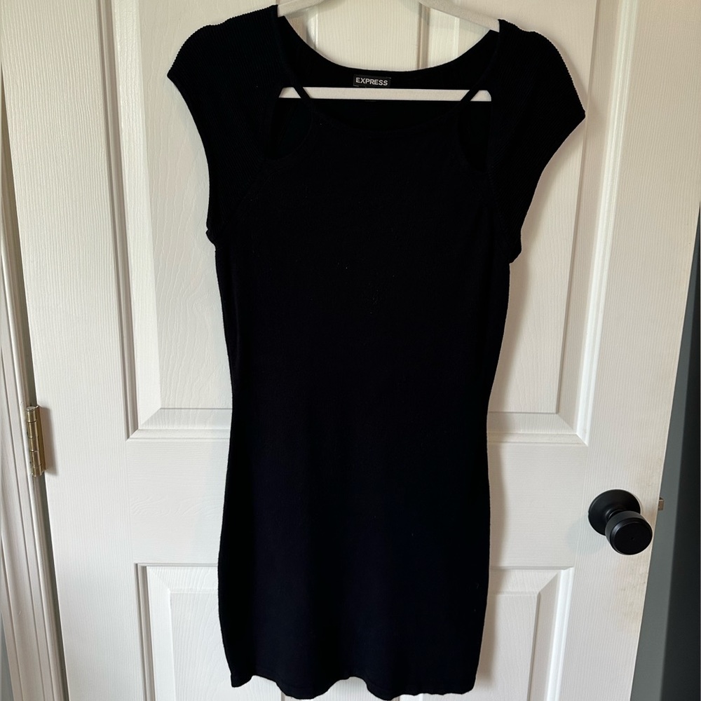 Express Sweater Dress